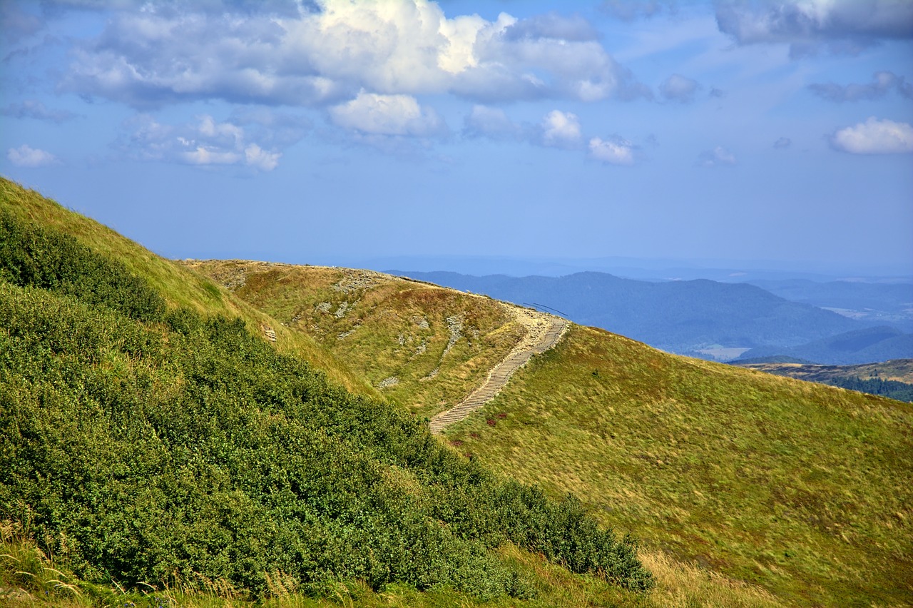 探秘深山秘境，走进黄楮林温泉的疗愈之旅