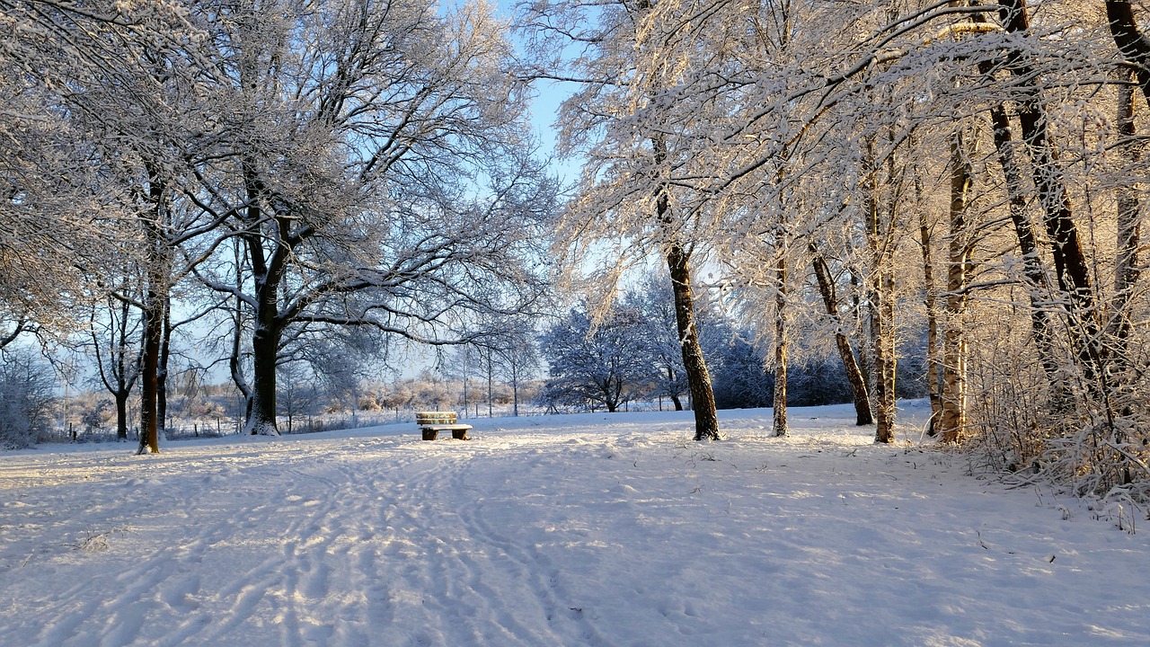 雪域狂欢，重庆金佛山，体验云端滑行的冬日奇遇记
