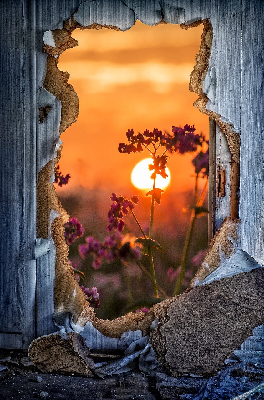 Mastering the Art of Life Wisdom:How to Express Your Life Experiences in English