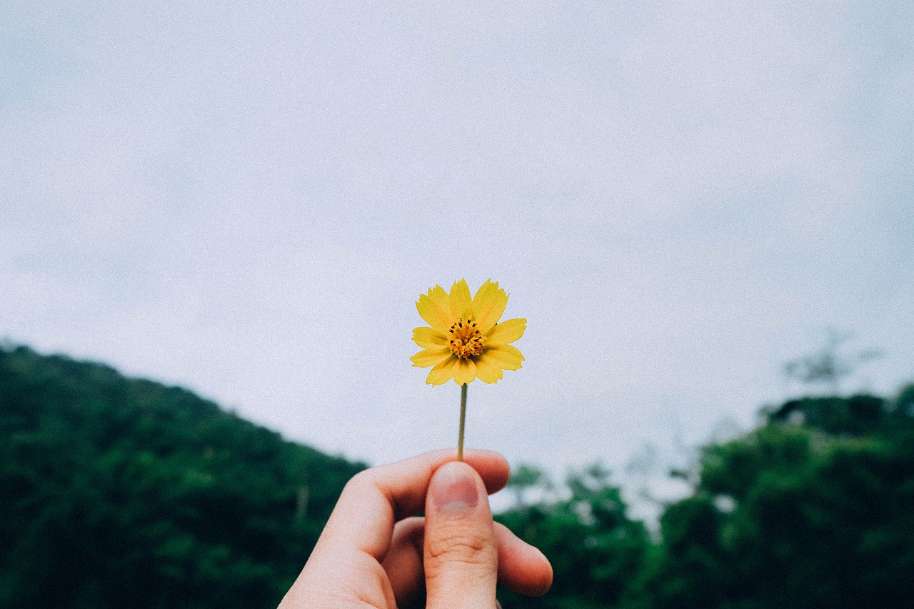 绿色生活，从我做起，探索低碳生活的实践之道