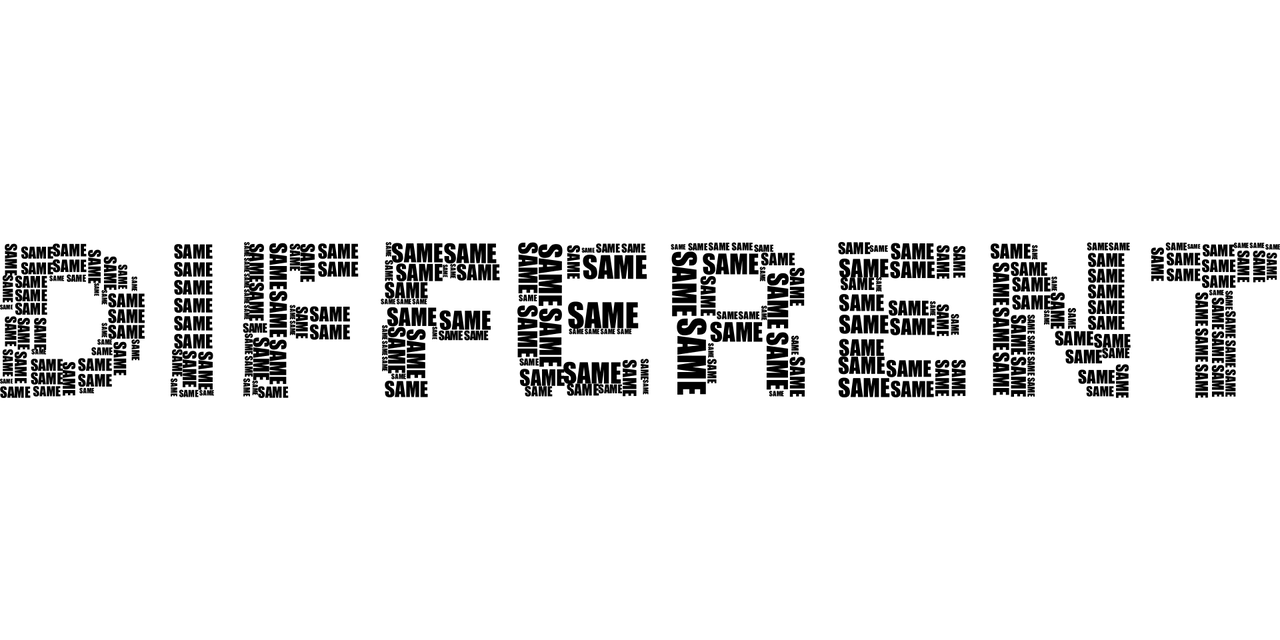 探索汉字之美，金加隽的奥秘